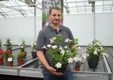 Cris Oostveen with the Bloom White from their Mandevilla Bloom Bells line. This is the first white one in their Bloom Bells line.